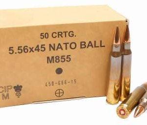 GGG 5.56x45mm NATO Ammunition M855 SS109 62 Grain FMJ Penetrator Steel Core 1000 rounds